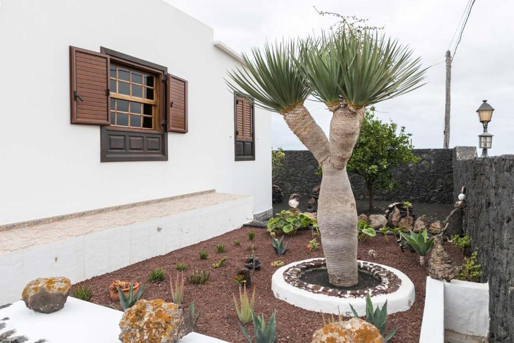 Zahrada ubytování Villa El Jable Lanzarote