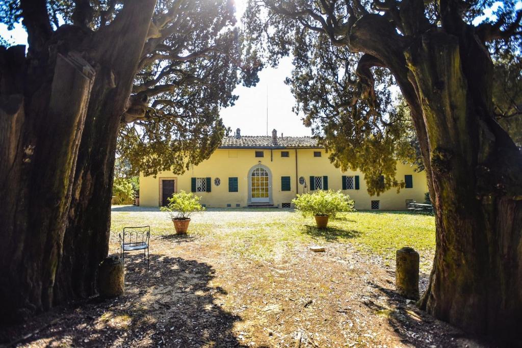 ein großes gelbes Haus mit einem großen Baum im Vordergrund in der Unterkunft Villa San Dalmazio splendida appena 5km dal centro in Siena