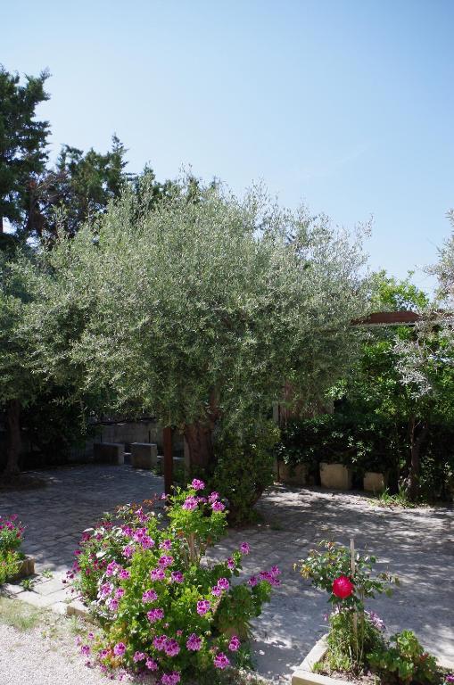 Zahrada ubytování Corsaro B&B