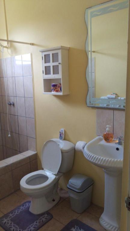Bagno di Caribbean Dream Vacation Property CD1
