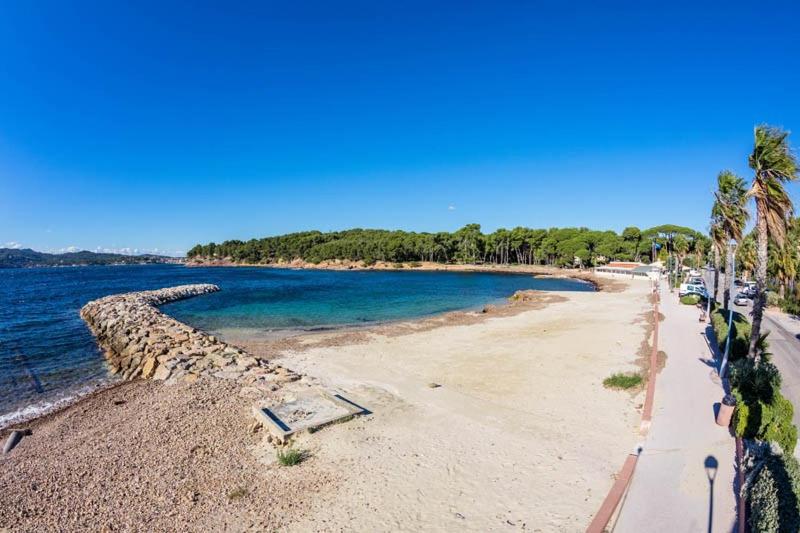 une plage avec des palmiers et l'eau dans l'établissement Plein sud, à Saint-Mandrier-sur-Mer