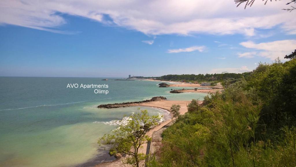 - une vue sur la plage et l'océan dans l'établissement Avo Apartments, à Olimp