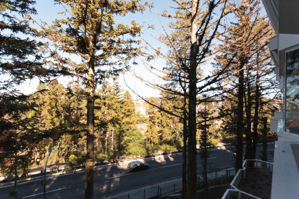 Condado de Homelland  Condado de Homelland