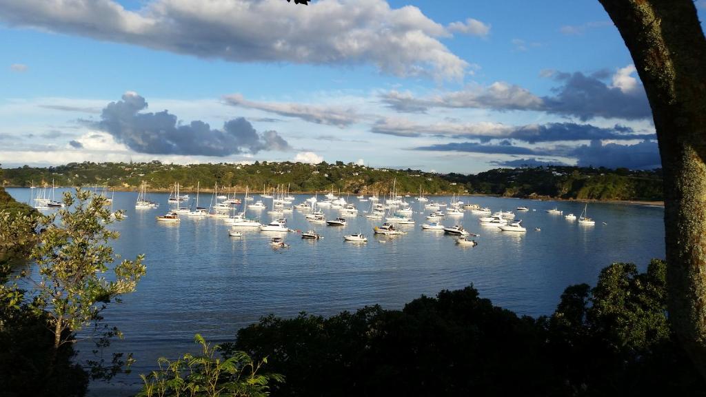 a large group of boats sitting on the water at Jake's Place Oneroa Waiheke in Oneroa