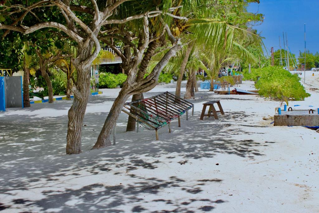 Fotografie z fotogalerie ubytování WhiteShell Island Hotel & Spa v Maafushi