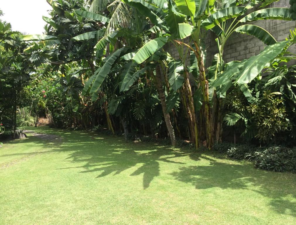 Raja Gardens Hotel - 16