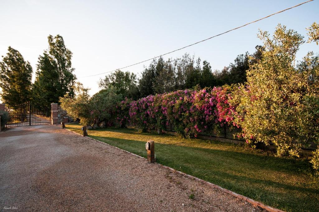 Giardino di Casalventodimare e Tramontana