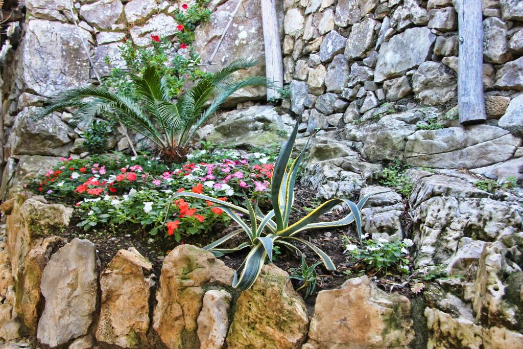 Zahrada ubytování Casarufolo Paradise