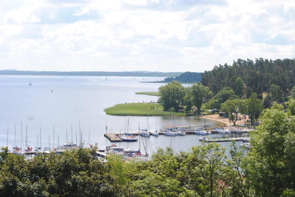 Príroda v okolí apartmánu