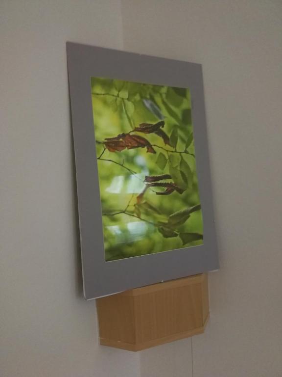 Fotografie z fotogalerie ubytování flat 18 minutes from Vaclavske namesti v Praze
