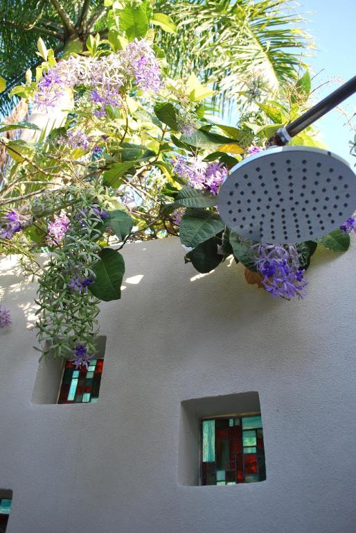 Zahrada ubytování Casa Frangipani