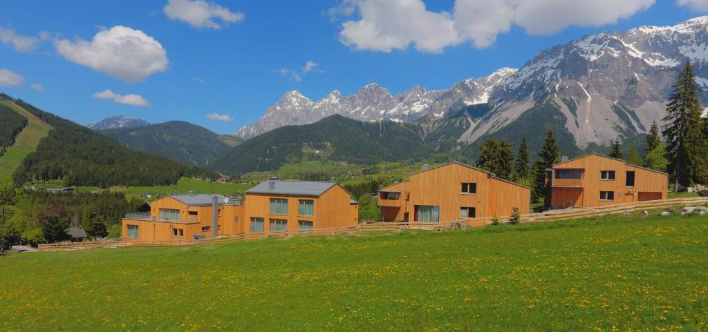 a house in a field with mountains in the background at Rittis Alpin Chalets Dachstein in Ramsau am Dachstein