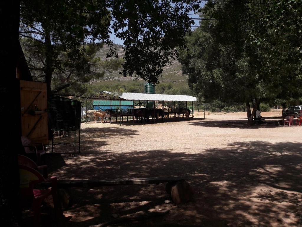 La alberca dentro o cerca de Sierra de Cazorla