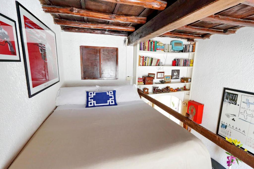 The library in Az apartmant