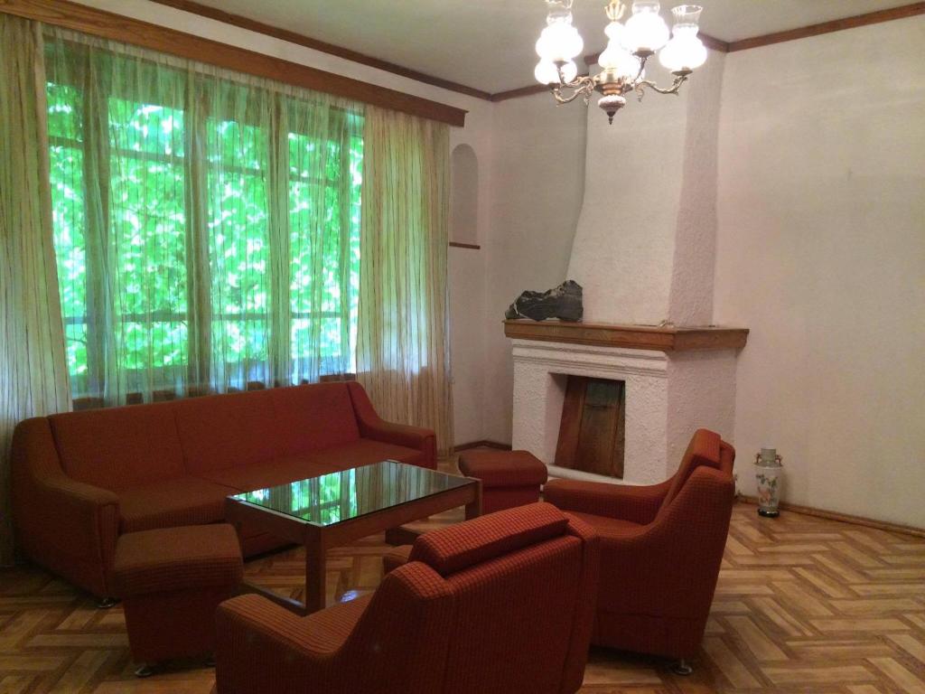 a living room with a couch and a table and a fireplace at Green House in Lagodekhi