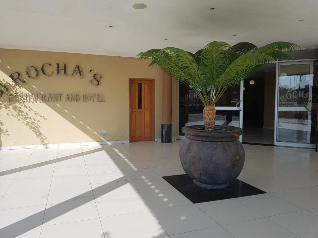 a large vase with a palm tree in a lobby at Rocha's Hotel in Oshakati