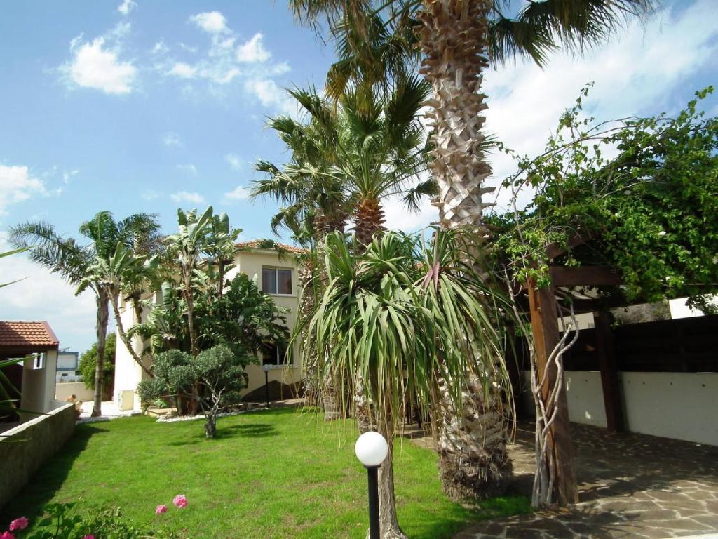 a yard with palm trees and a house at Villa Galleria in Perivolia