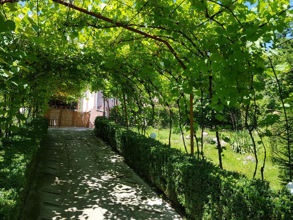 a garden path with trees and a fence at Casuta dintre dealuri in Vlădeşti