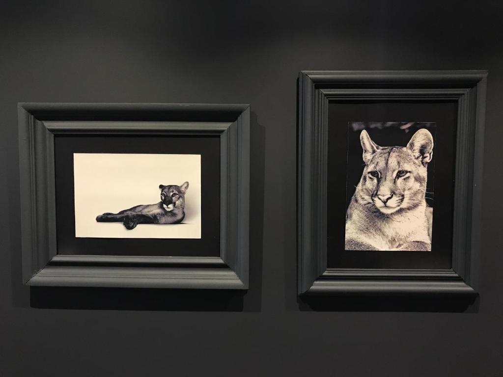 Apartamento Superior