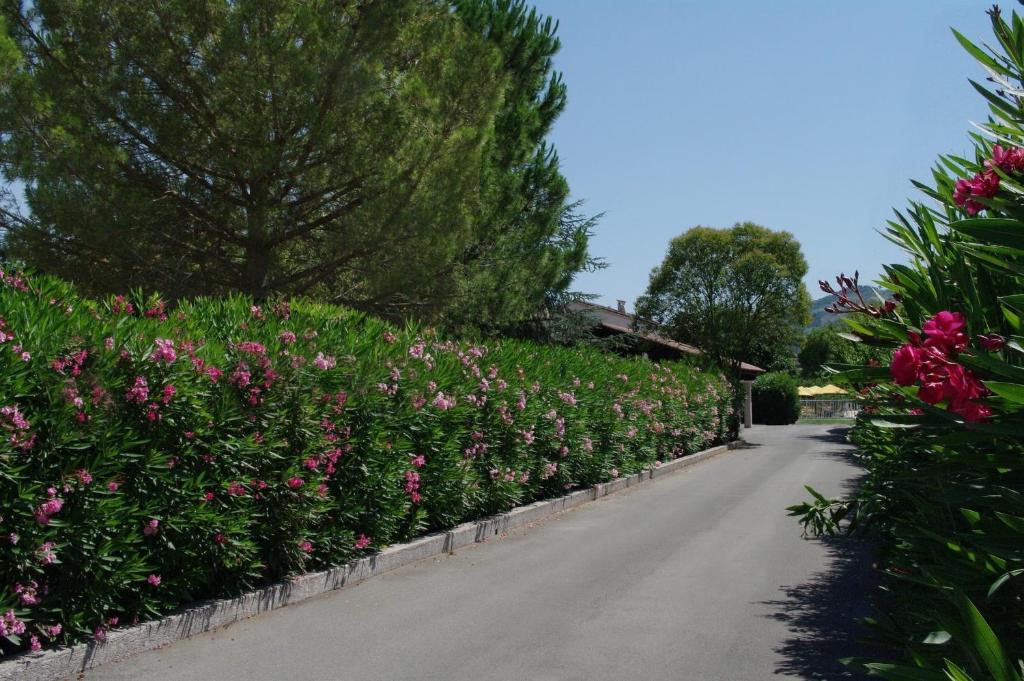 un jardín con flores rosas en una carretera en Hotel du Bosquet, en Pégomas