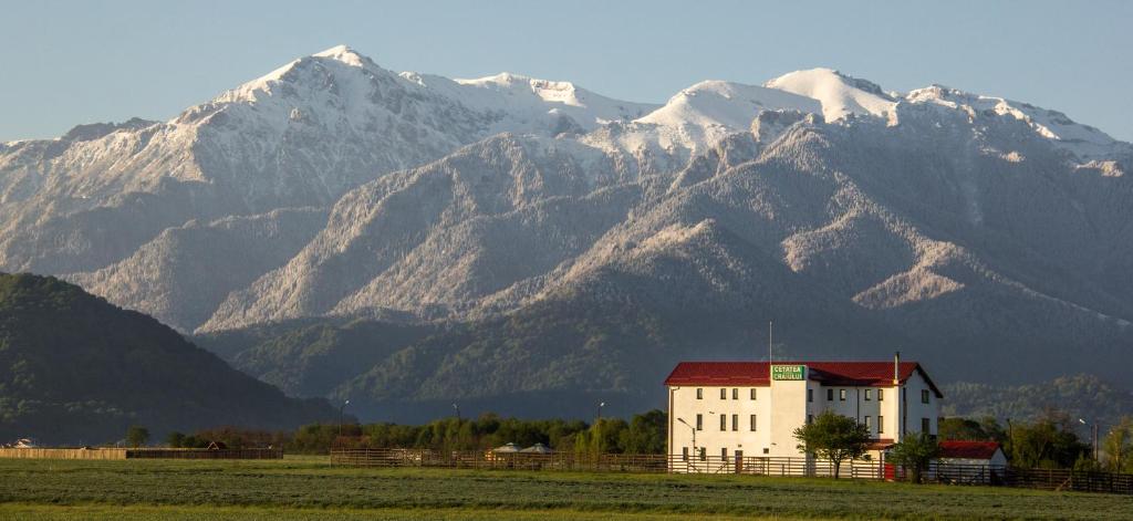 a house in a field with mountains in the background at Pensiunea Cetatea Craiului in Râşnov