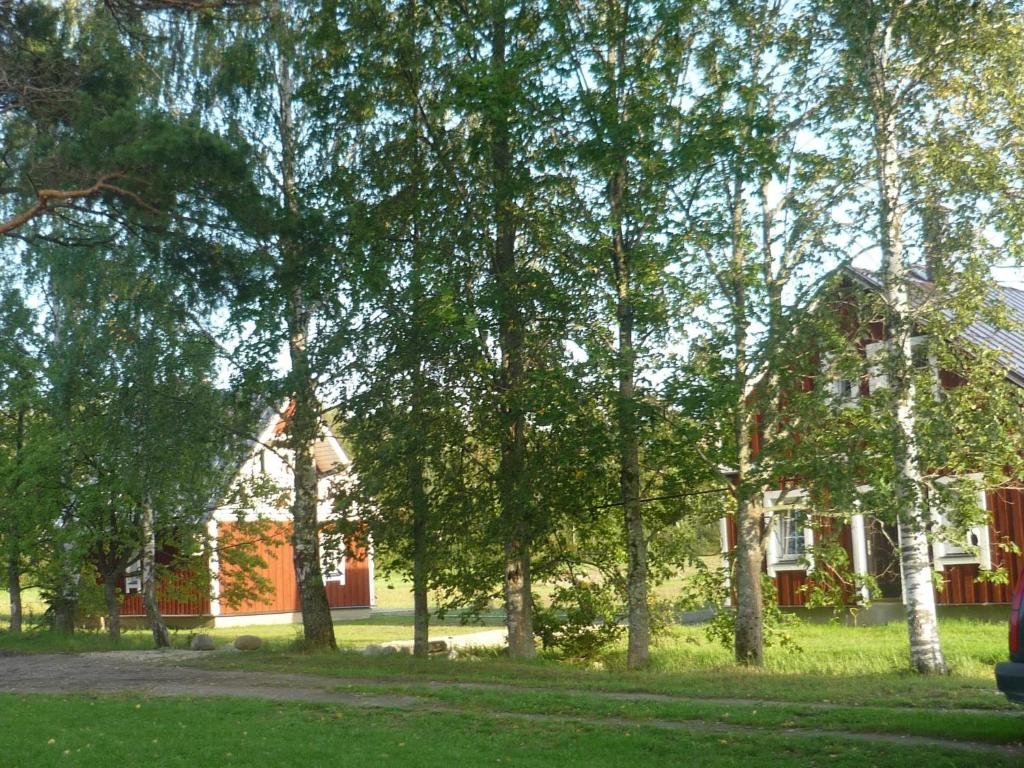 Zahrada ubytování Põnka Guesthouse