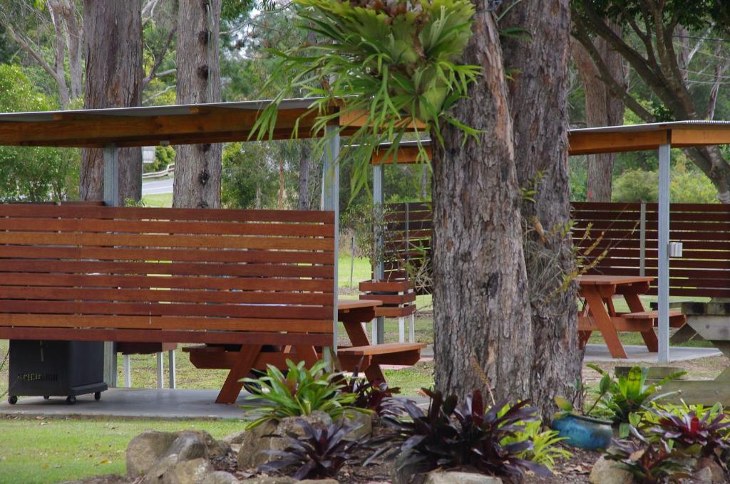 two picnic tables and a tree in a park at Fairway Lodge Motel in Kempsey