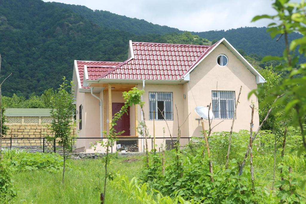 Příroda nedaleko prázdninového domu