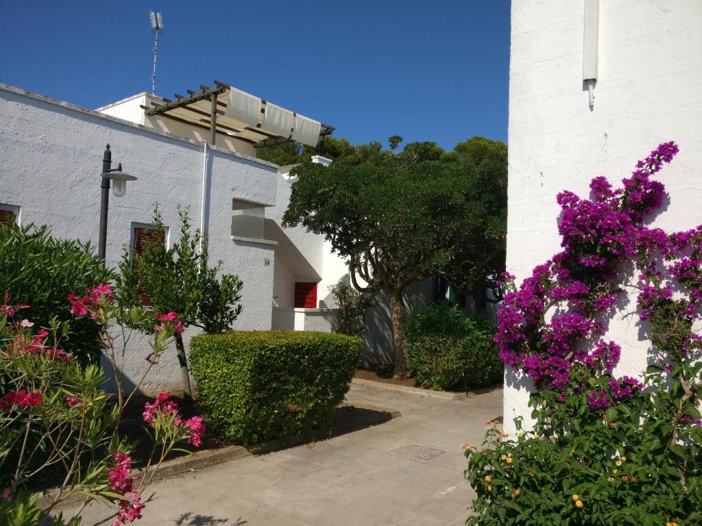 Zahrada ubytování Villa Azzurra