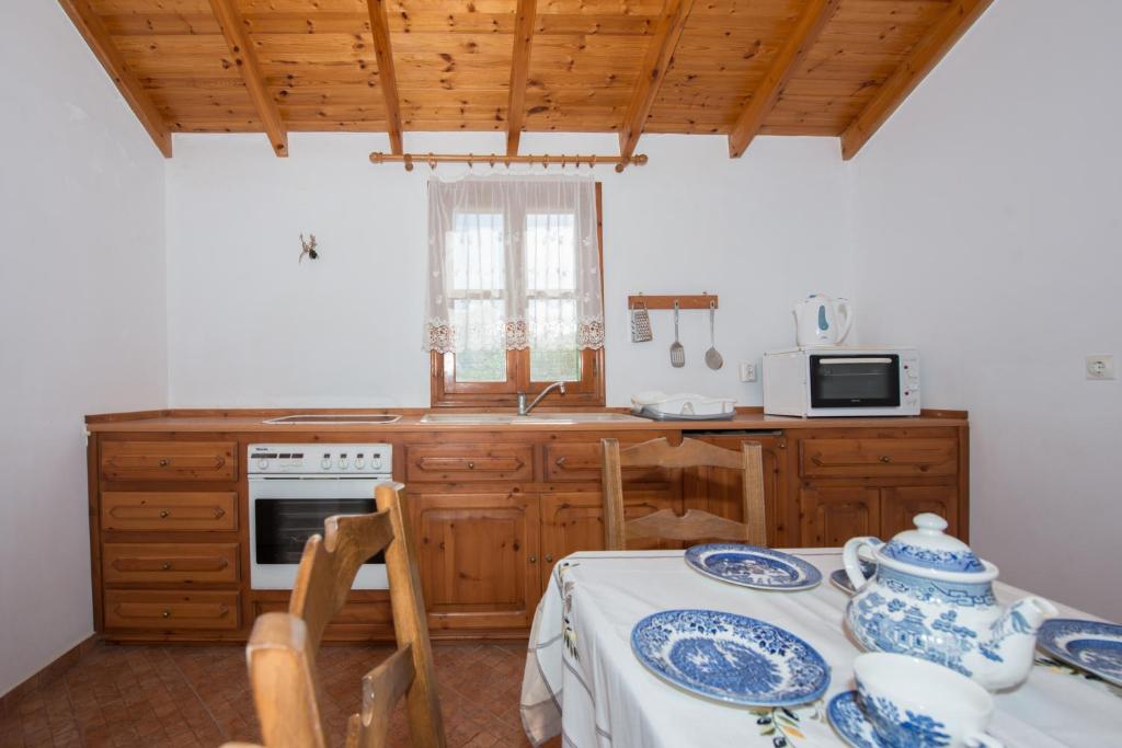 Kuchyň nebo kuchyňský kout v ubytování Villa Zeus