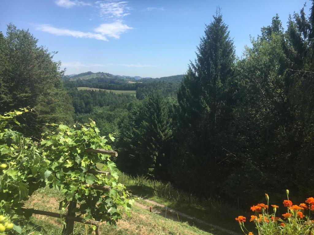 Príroda v okolí privátu
