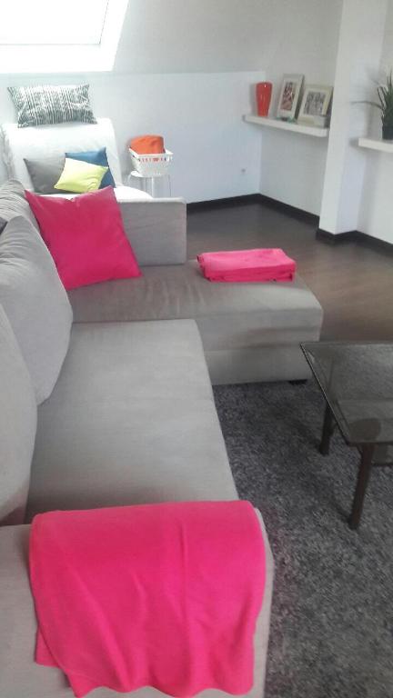 Appartement avec garage Colmar Centre Historique - 16