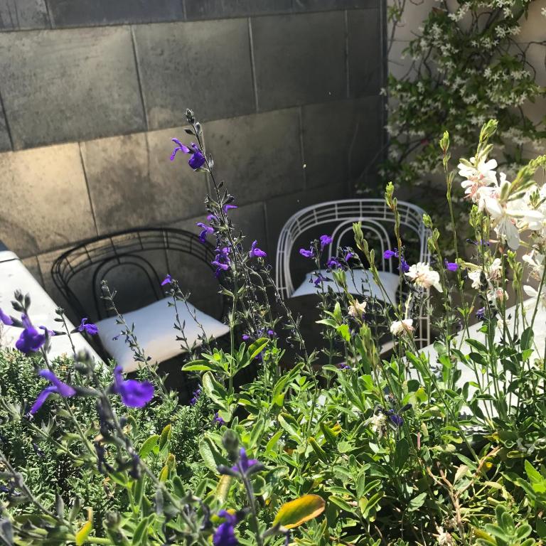 Hôtel Recamier - 18