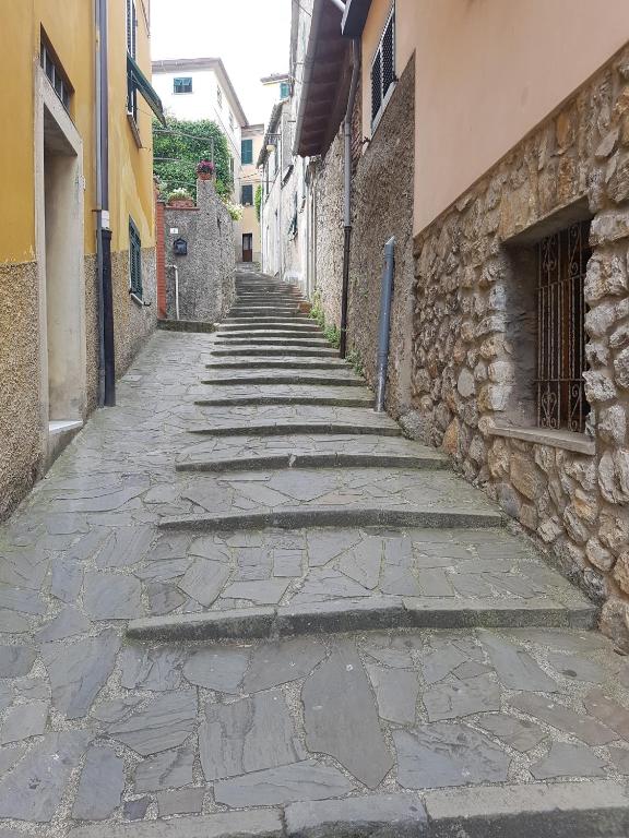 Fotografie z fotogalerie ubytování carugio del fezzano v destinaci Fezzano