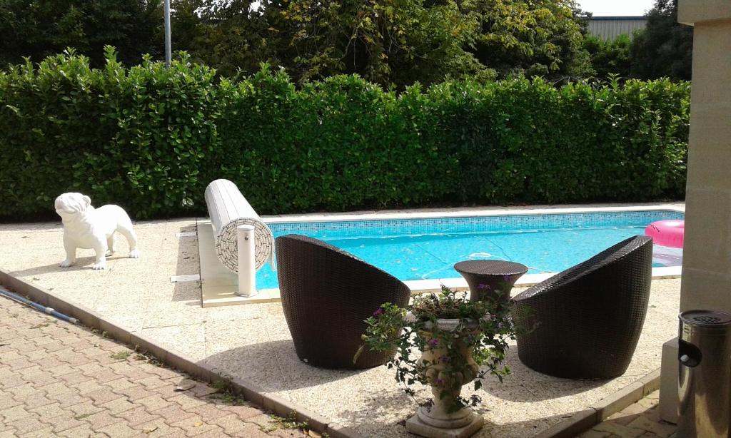 un chien blanc debout à côté d'une piscine dans l'établissement L'Etape, à Vayres