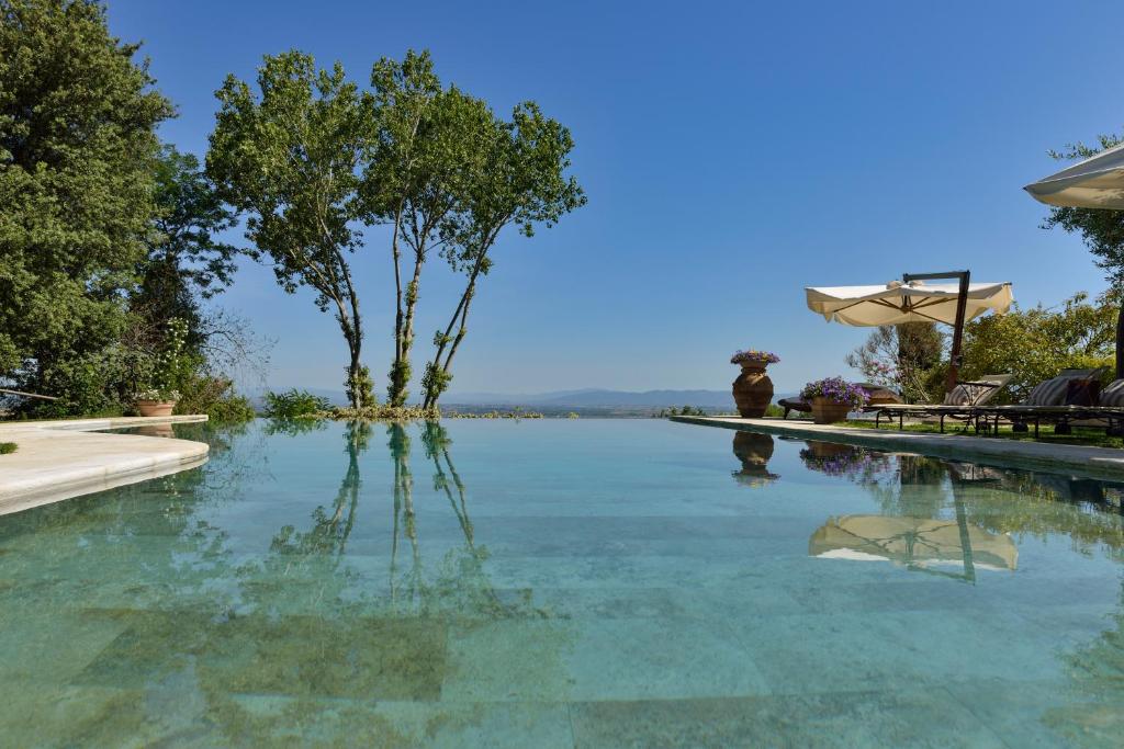 uma piscina com uma árvore na água em Villa Cicolina em Montepulciano