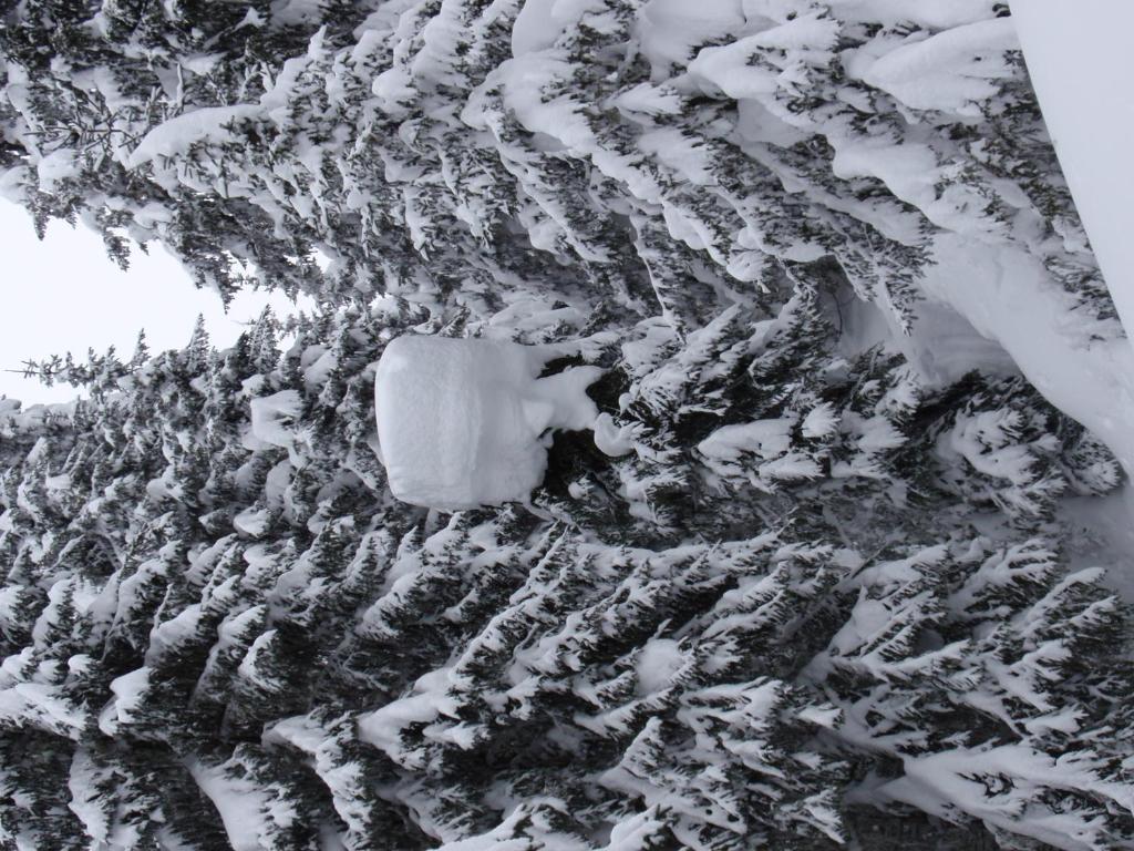 Pensione Vittoria during the winter
