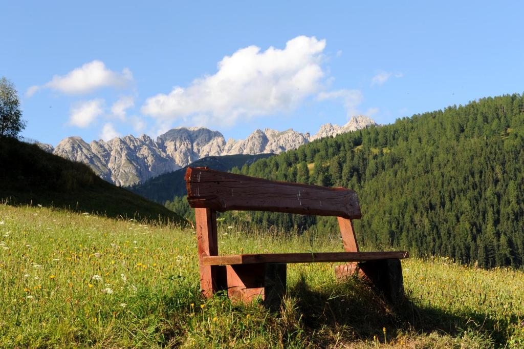 Příroda nedaleko apartmánu