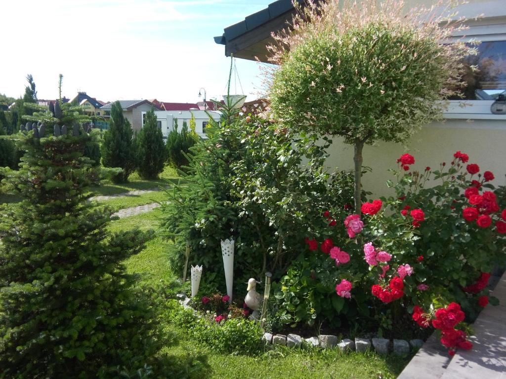 Zahrada ubytování Domki Kapitańskie z prywatnym polem do gry w Mini Golf