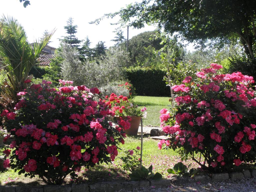 Vonkajšia záhrada v ubytovaní Villa San marco
