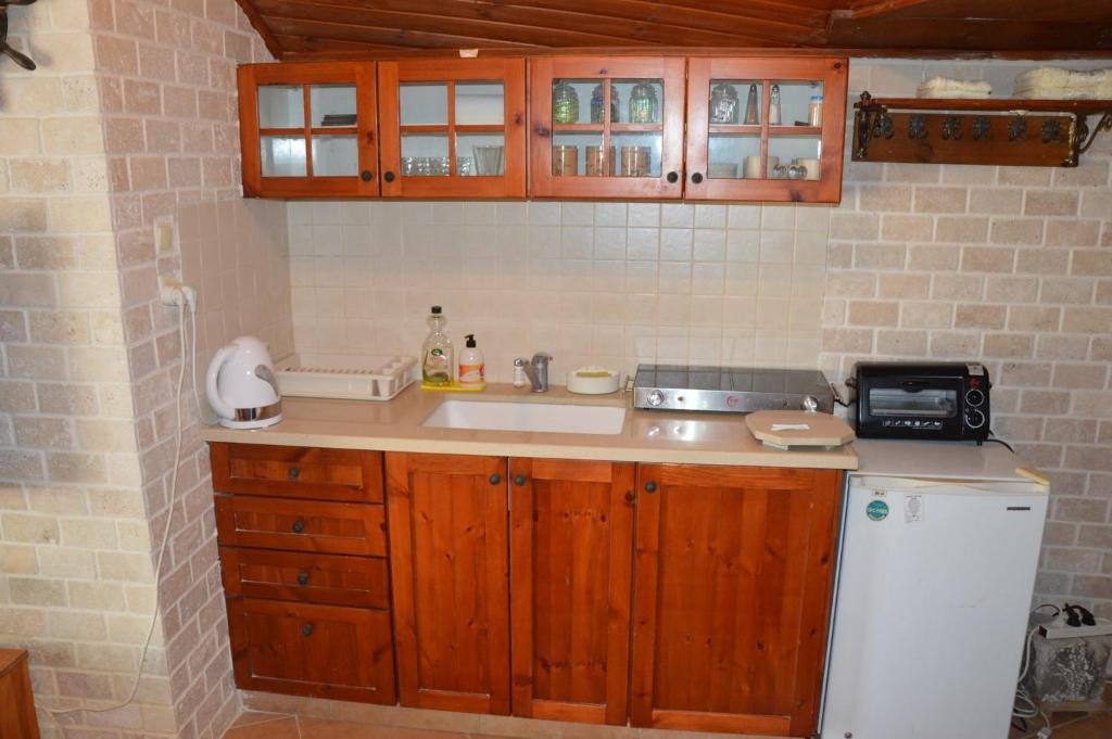 Kuchyň nebo kuchyňský kout v ubytování Czarina Cabin הבקתה הקיסרית והדירה הקיסרית czarina apartment