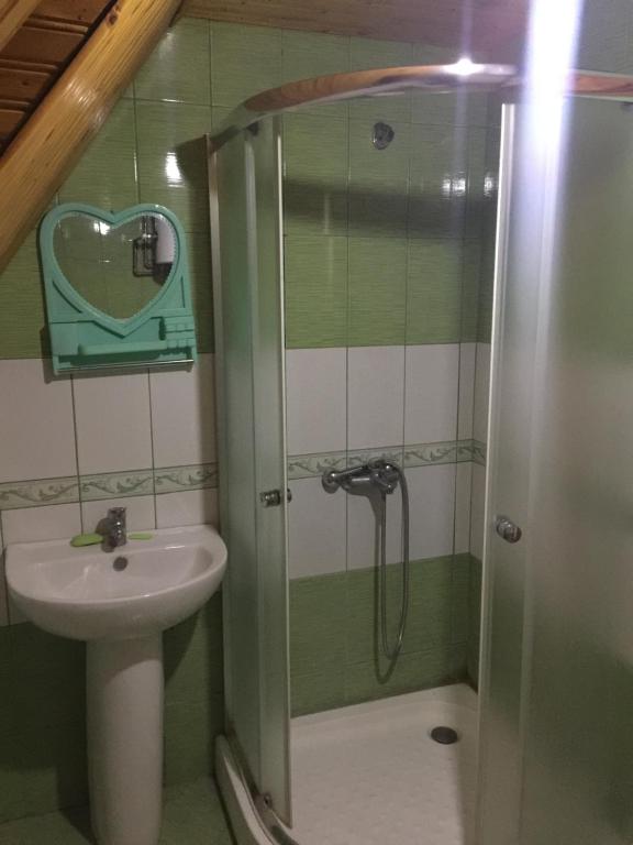 Koupelna v ubytování Guesthouse Alpini