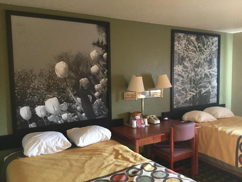 Super 8 by Wyndham Youngstown/Austintown photo