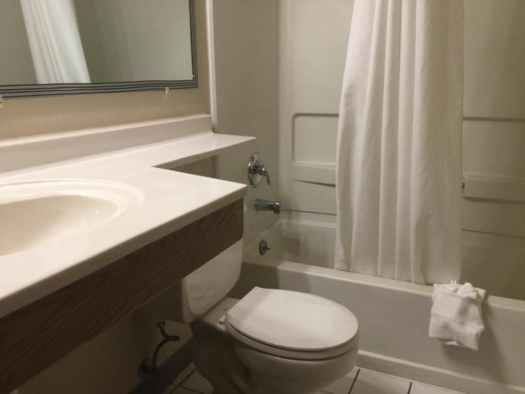 Super 8 by Wyndham Youngstown/Austintown photo
