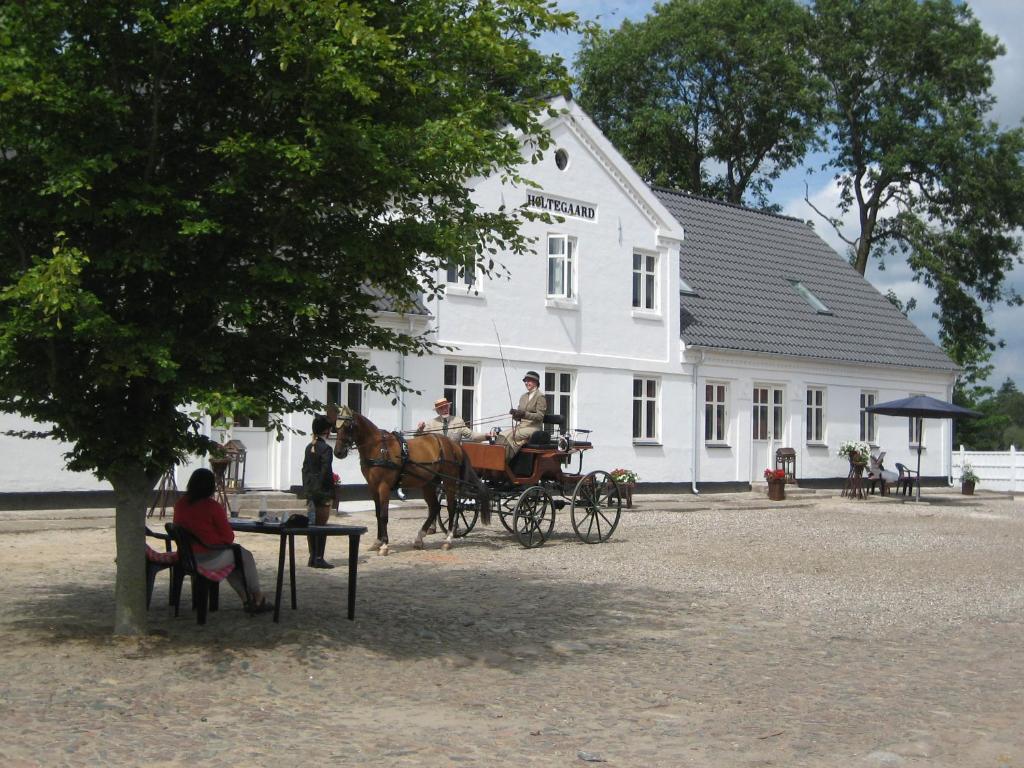 Jízda na koni v bed and breakfast nebo okolí