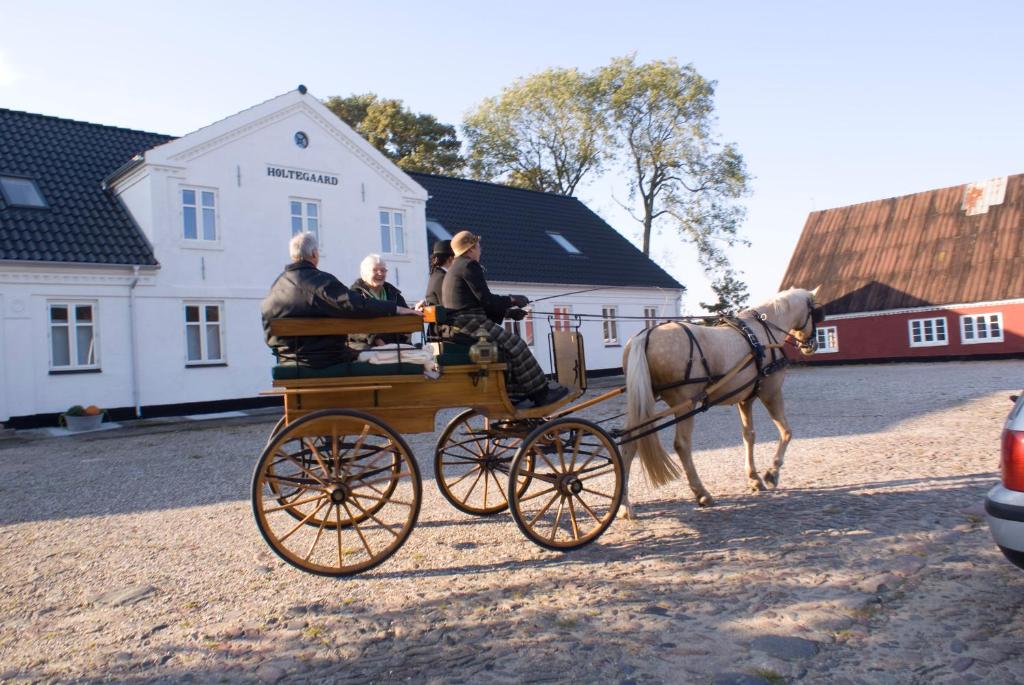 Hosté ubytování Holtegaard Bed & Breakfast