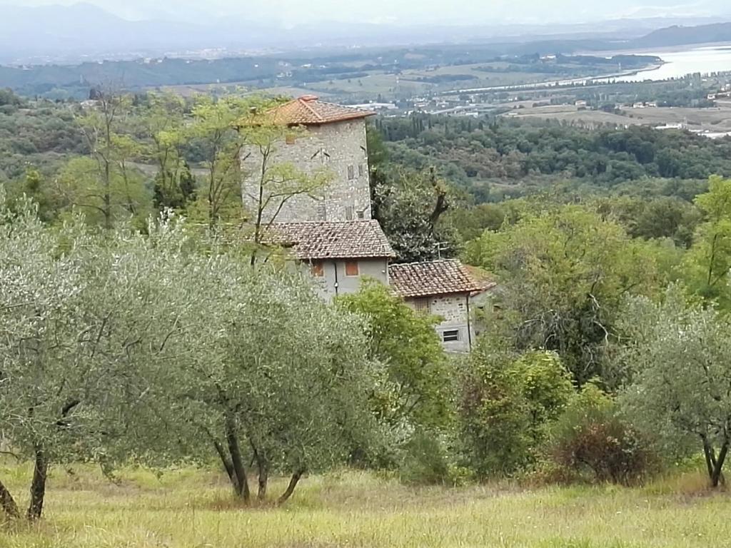 une vieille maison au sommet d'une colline avec des arbres dans l'établissement Pulica Holiday Home, à Barberino di Mugello