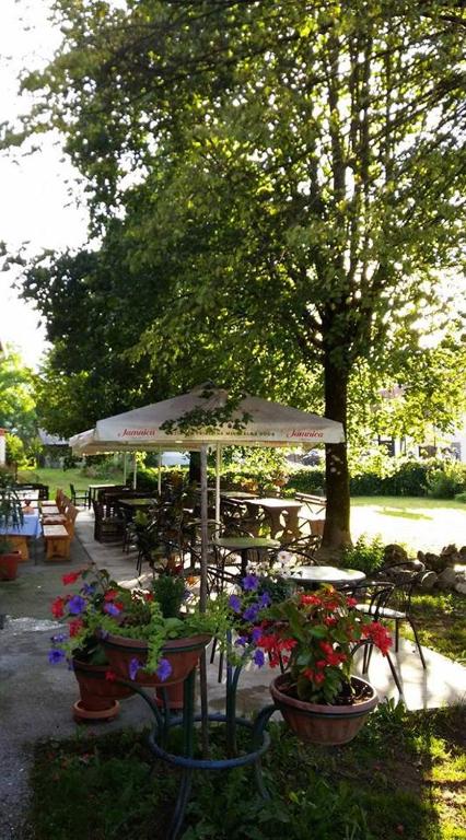 Zahrada ubytování Hotel Mance