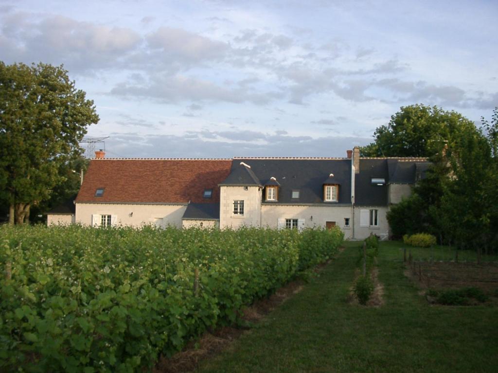 ヴーヴレにあるAu Clos de l'Epinayの褐色の屋根と作物畑の白い建物