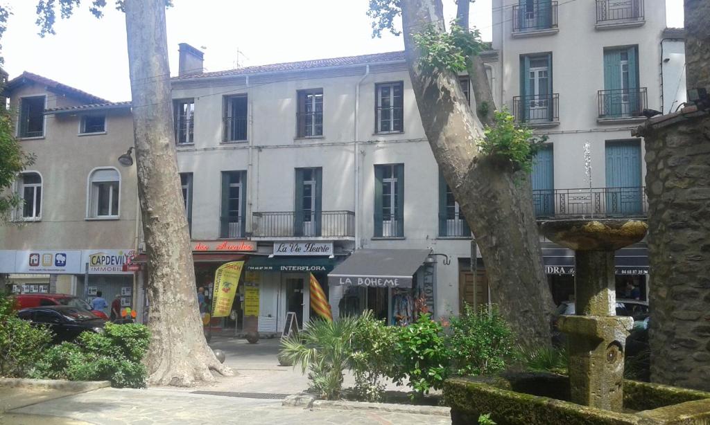 a building with two trees in front of a street at cal erre in Céret